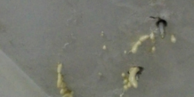 高壓灌漿補漏