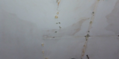 樓頂補漏