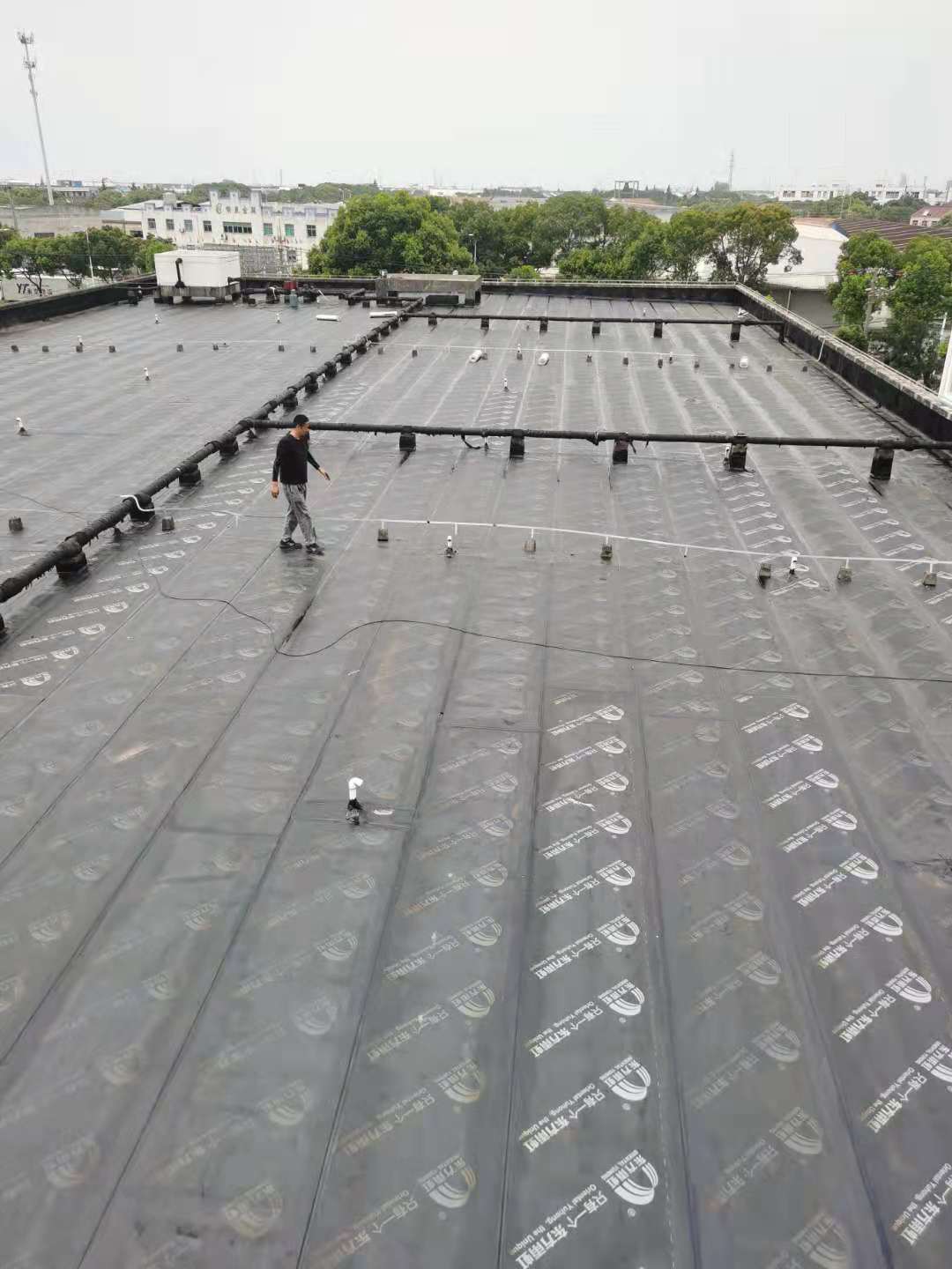 樓頂防水